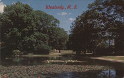 Lily Pond, Wilcox Park, Westerly, RI Postcard