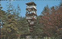 The Lookout Tower, Tower Hill Road Postcard