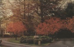 Larchwood Inn, Wakefield, RI Postcard