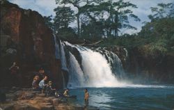 Chorrera Falls, La Chorrera, Panama Postcard