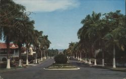 Avenida Federico Boyd, Panama City Postcard
