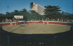 Bullfights in Puerto Rico, Spain Bull Ring Postcard