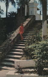 Steps to La Fortaleza, Governor's Mansion, Old San Juan Postcard