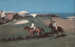 Horse Riding & Golf at El Conquistador Hotel Postcard