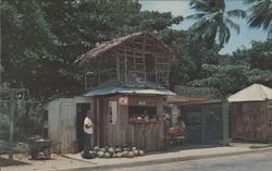 Fruit Vendor's Row, Entrance to Luquillo Beach Postcard