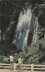 Waterfall at El Yunque Rain Forest, Puerto Rico Postcard