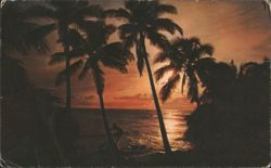 Sunset Over the Ocean with Palm Trees, Jamaica Postcard
