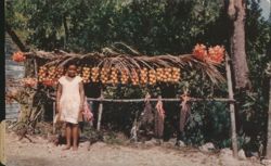 Little Fruit Vendor, Jamaica, B.W.I. Postcard