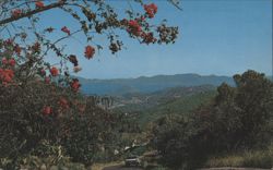 Mountain Road View, St. Thomas Postcard