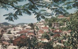 View of Charlotte Amalie, St. Thomas Postcard