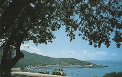 Harbor View, St. Thomas, U.S. Virgin Islands Postcard
