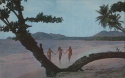 Three Women on Vigie Beach, St. Lucia Postcard
