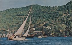 Yacht Sailing in Port Elizabeth, Bequia Postcard
