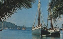 Island Schooners at Anchor in Admiralty Bay, Bequia Postcard