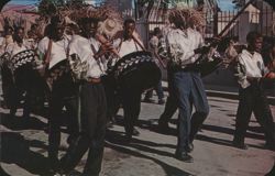 Steel Band Parading for Christmas Festival, St. Croix Postcard