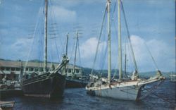 Schooners in Christiansted Harbor, St. Croix Postcard
