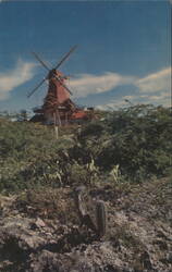 Authentic Dutch Windmill, Palm Beach, Aruba Postcard