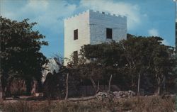 Unfinished Conch Shell House, Grand Cayman Island Postcard