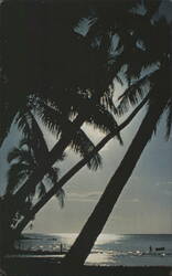Tranquility, Palm Tree Silhouettes Postcard