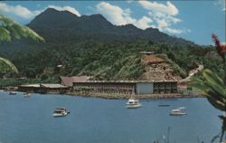 Tradewinds Hotel, Bay of Islands, Suva Postcard