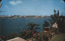 Hamilton Harbour during Ocean Yacht Race, Bermuda Postcard