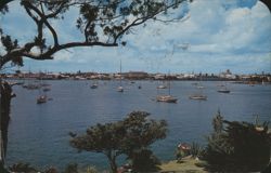 Hamilton Harbour from Paget Shore, Bermuda Postcard
