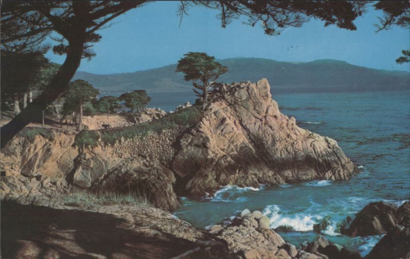 Midway Point, Monterey Cypress, Carmel Bay California