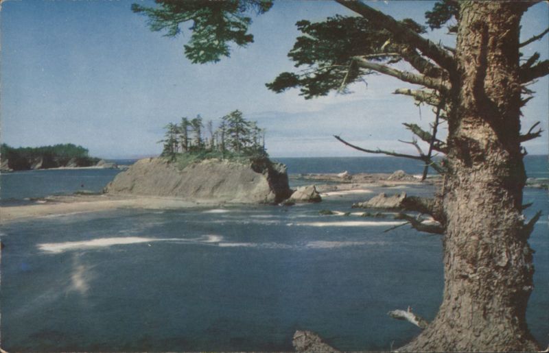 Cape Arago State Park, Oregon Coast Photo Art Commercial Studio