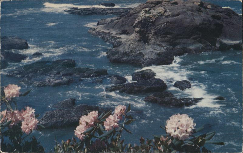 Boiler Bay Coastline with Rhododendrons, Oregon Walt Dyke