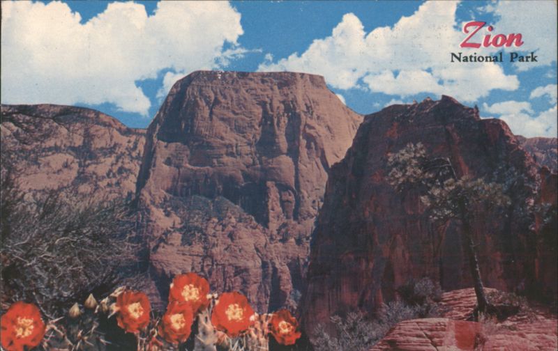 Great White Throne from Scout Lookout, Zion National Park Utah