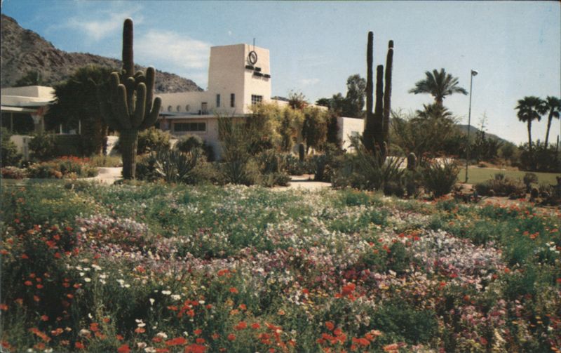 Camelback Inn, Scottsdale, Arizona with Desert Flowers