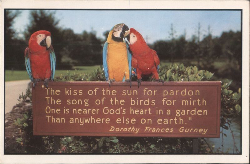 Macaws and Poetic Garden Sign at Busch Gardens Tampa Florida