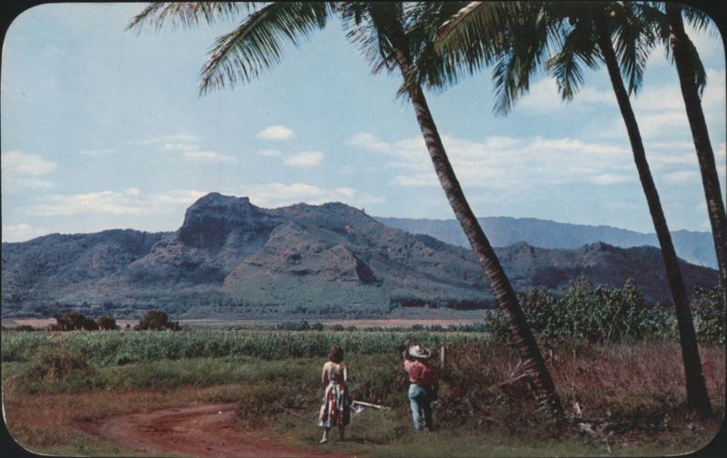 Sleeping Giant Mountain, Kapaa, Kauai Hawaii Billy Howell