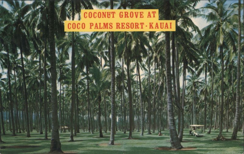 Coconut Grove at Coco Palms Resort, Kauai Lihue Hawaii