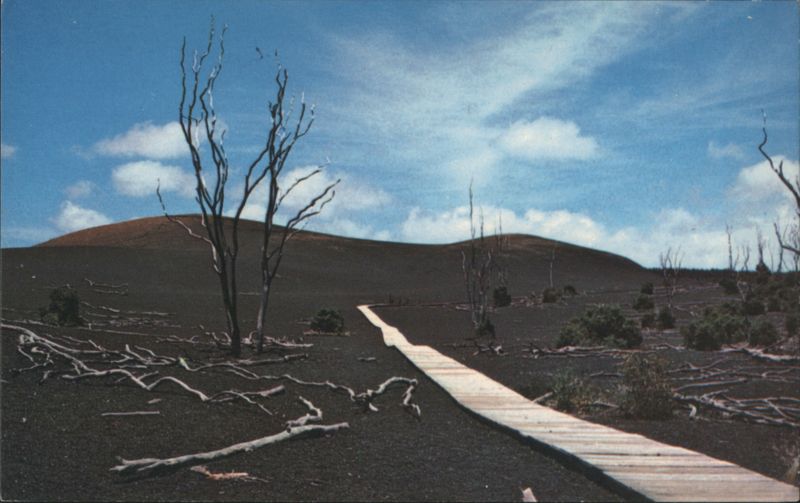 Devastation Trail, Hawaii Volcanoes National Park Sandy Colvin, Jr.