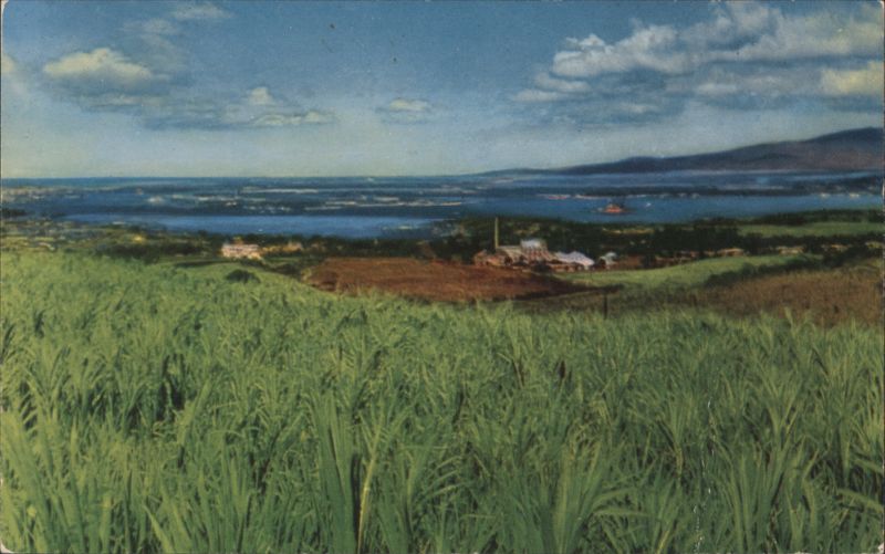 Pearl Harbor from Sugarcane Slope with U.S. Navy Base Honolulu Hawaii