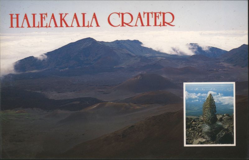 Haleakala Crater with Silversword Plant, Hawaii