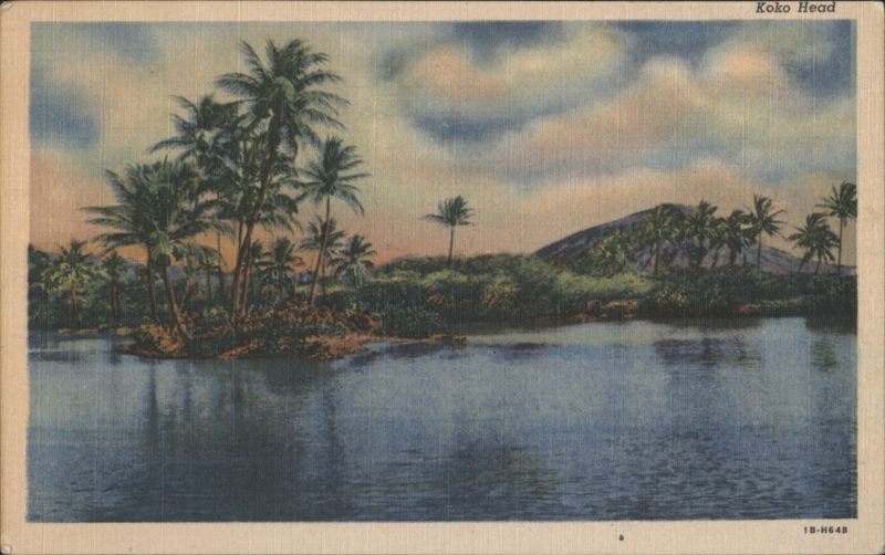 Koko Head, Palm Trees by Water Honolulu Hawaii