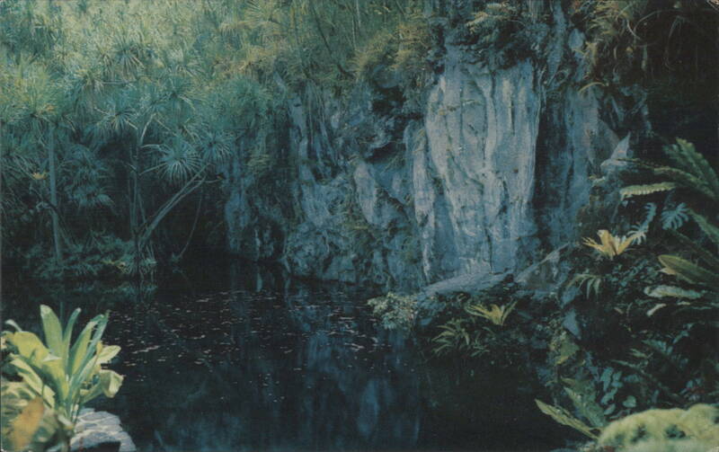 Wai Wela Wela Warm Springs Hilo Hawaii