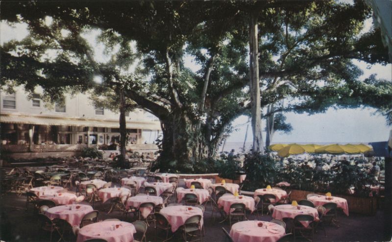 Moana Hotel's Banyan Court Lanai Honolulu Hawaii