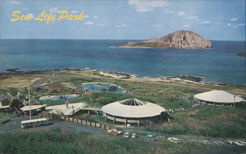 Sea Life Park with Rabbit Island in Background Honolulu Hawaii