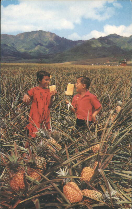 Children Enjoying Pineapple in Hawaii Field Stoy