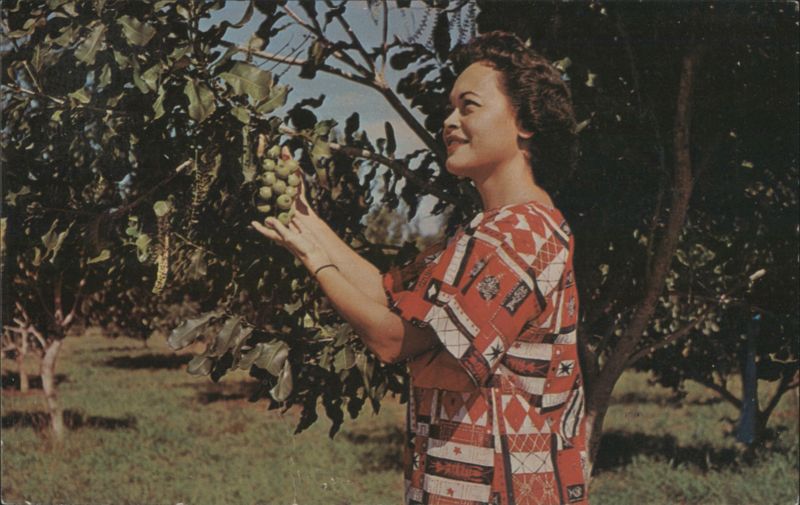 Woman at Keaau Macadamia Nut Orchard, Hawaii R. T. Kanemori