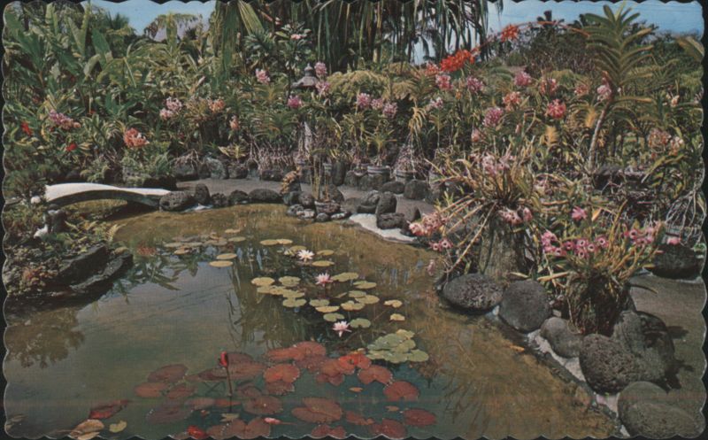Hawaiian Orchid Garden with Pond and Lily Pads