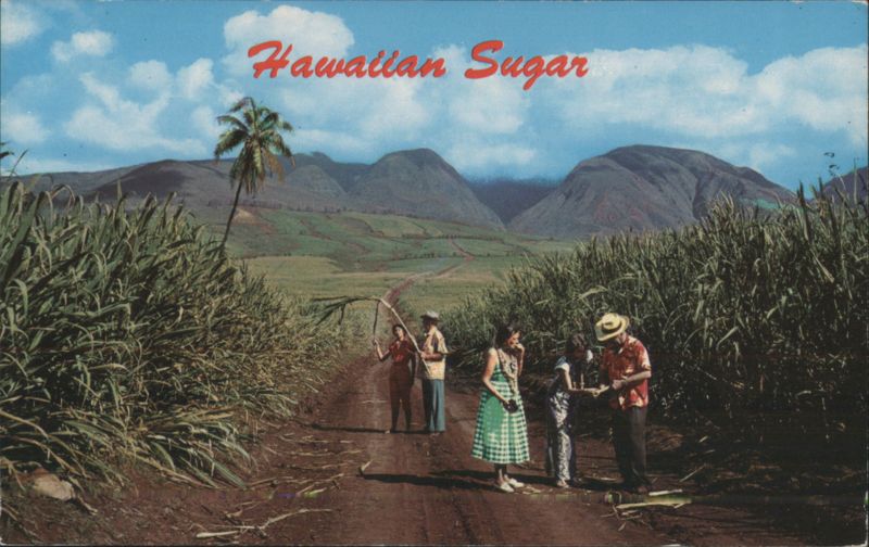 Hawaiian Sugar Fields with People and Mountains Billy Howell