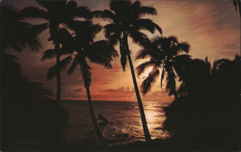 Hawaii Sunset with Silhouetted Palm Trees