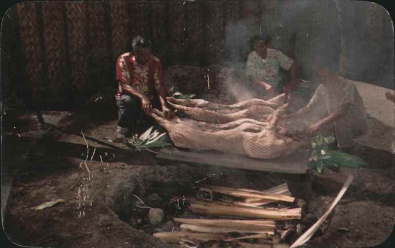 Luau Preparations: Pig Cooking in an Imu Honolulu Hawaii