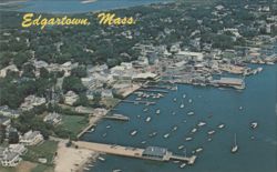 Aerial View of Edgartown Harbor Postcard