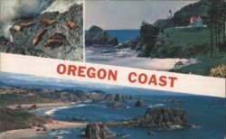 Oregon Coast Scenic Views: Heceta Head Lighthouse and Harris Beach Postcard