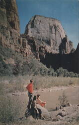 Great White Throne and Virgin River, Zion National Park Postcard